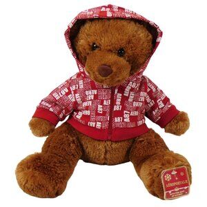Aeropostale Brown Bear W/Hoodie 16" Plush 2007 Stuffed Animal